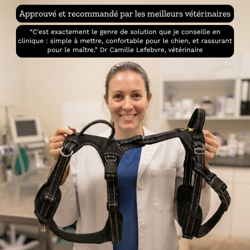 RELEVIA® — Redonnez de la mobilité à votre chien