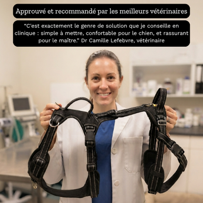 RELEVIA® — Redonnez de la mobilité à votre chien