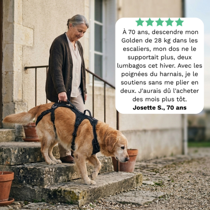 RELEVIA® — Redonnez de la mobilité à votre chien