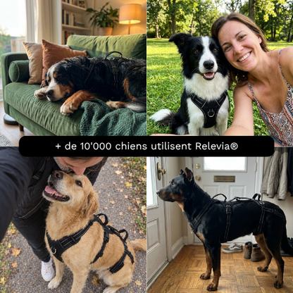 RELEVIA® — Redonnez de la mobilité à votre chien