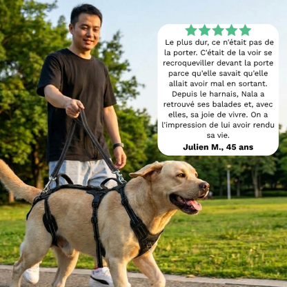 RELEVIA® — Redonnez de la mobilité à votre chien