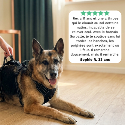RELEVIA® — Redonnez de la mobilité à votre chien