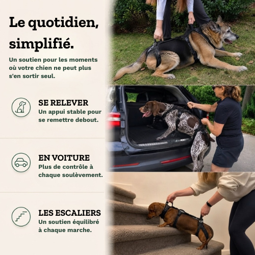 RELEVIA® — Redonnez de la mobilité à votre chien