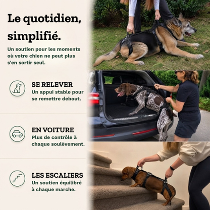 RELEVIA® — Redonnez de la mobilité à votre chien