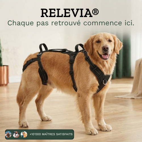 RELEVIA® — Redonnez de la mobilité à votre chien