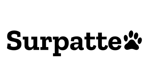 SURPATTE